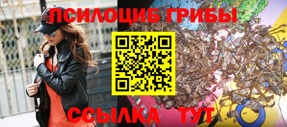 Псилоцибиновые грибы Magic Shrooms  Вход с VPN  Качканар 
