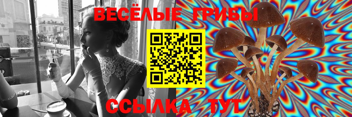 Меф МЯУ МЯУ   ГАШИШ  Каннабис  Качканар  Вход с VPN  КОКАИН  Alpha PVP СОЛЬ  