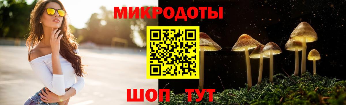 Псилоцибиновые грибы Magic Shrooms Качканар
